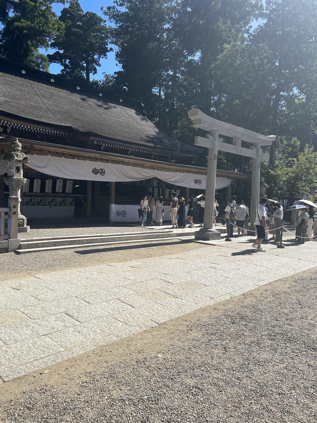境内の鳥居と社殿